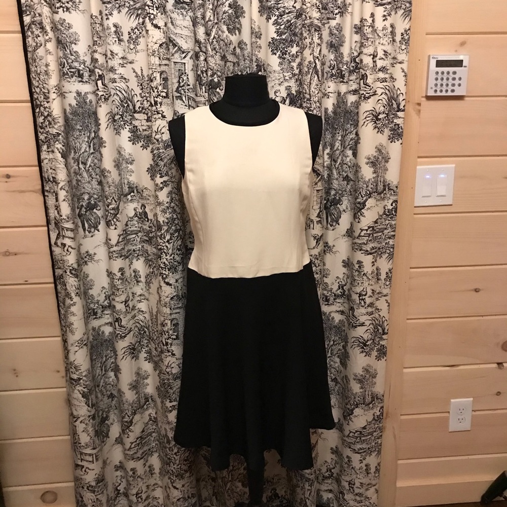 Lauren Ralph Lauren Petite 10P cream and black Classic Dress